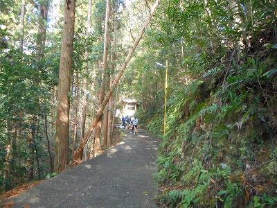 落ち葉を掃いています。