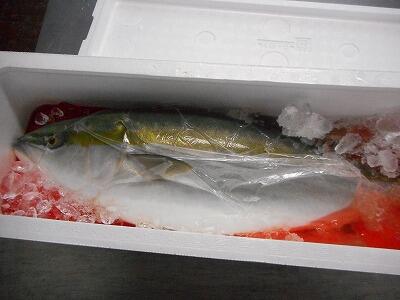 ハンサムなぶり