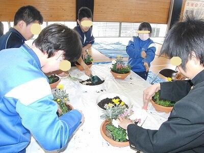 寄せ植えに挑戦中です。