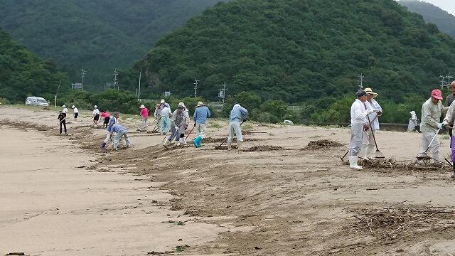 海岸清掃