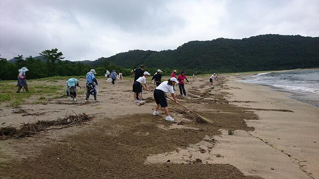 海岸清掃
