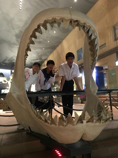 いのちのたび博物館