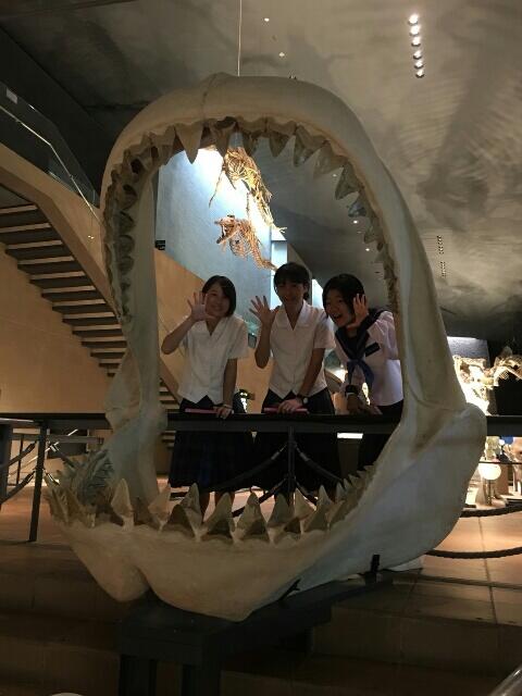 いのちのたび博物館