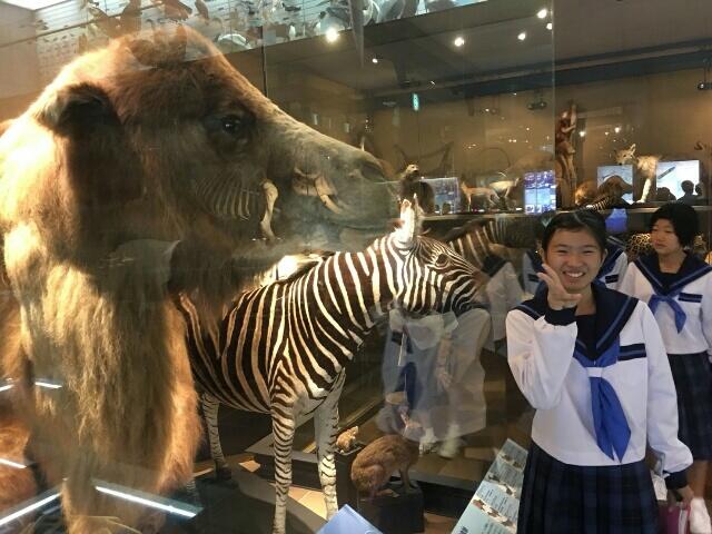 いのちのたび博物館