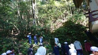 やっこ草を見に行きます。