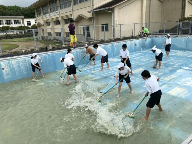 プール清掃