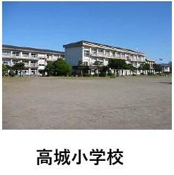 高城小