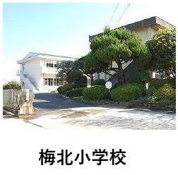 梅北小