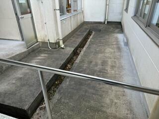 いったいミミズはどこからきたのか？？